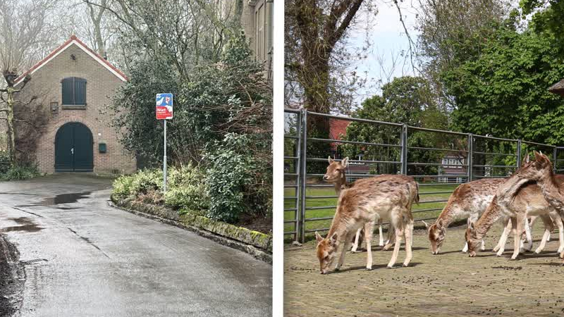 Toch geen koffie en thee bij de herten: het Werfje wordt geen horecavoorziening