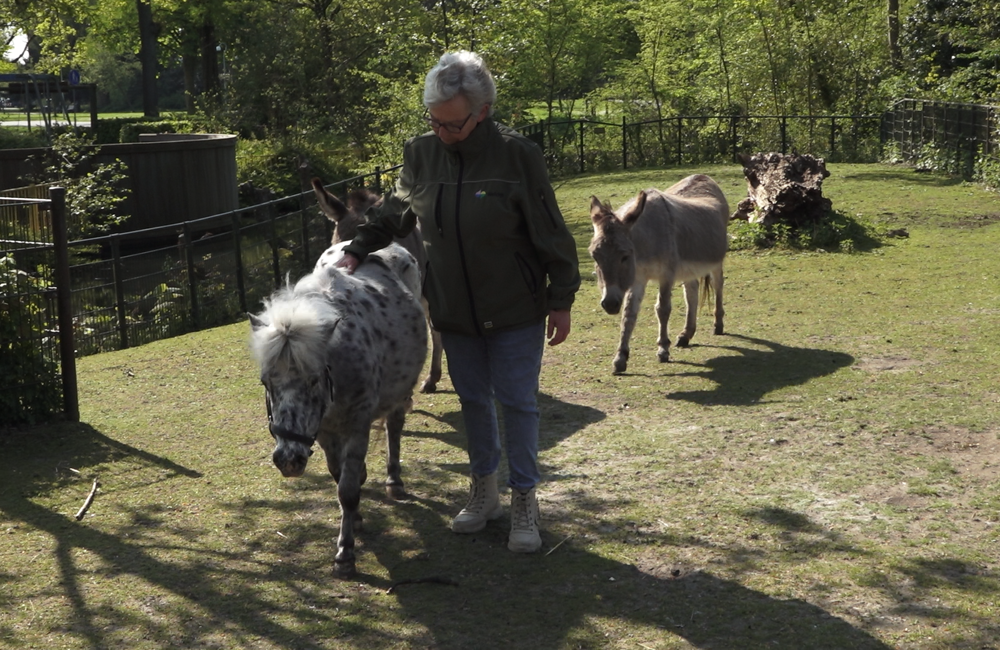 stadsboerderij weizigt.png