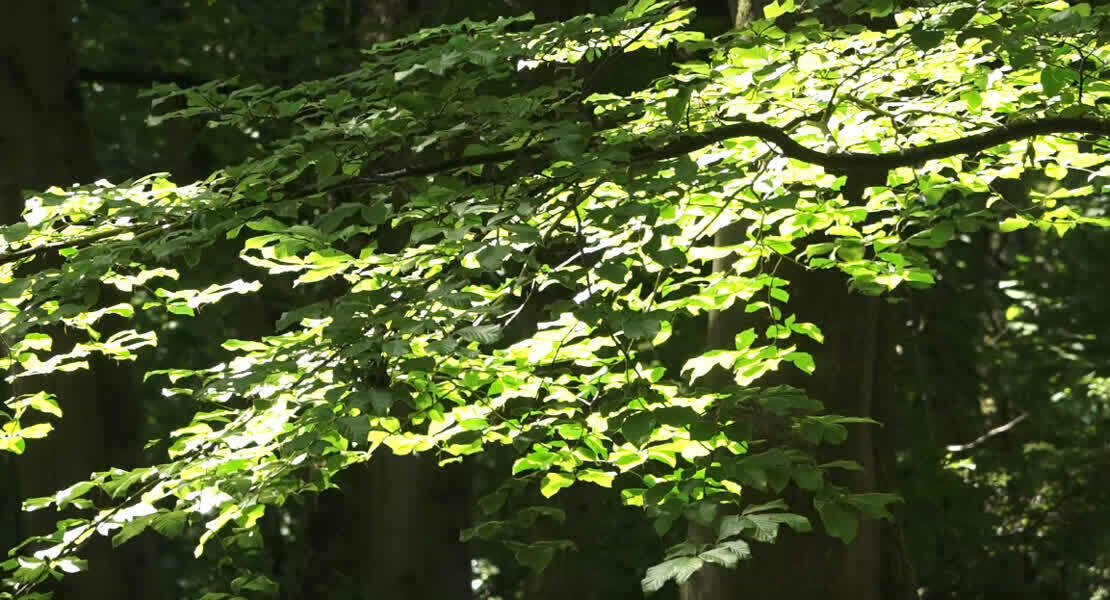 f9e0be078df258bc9db3d9b8f6a7335c.jpg