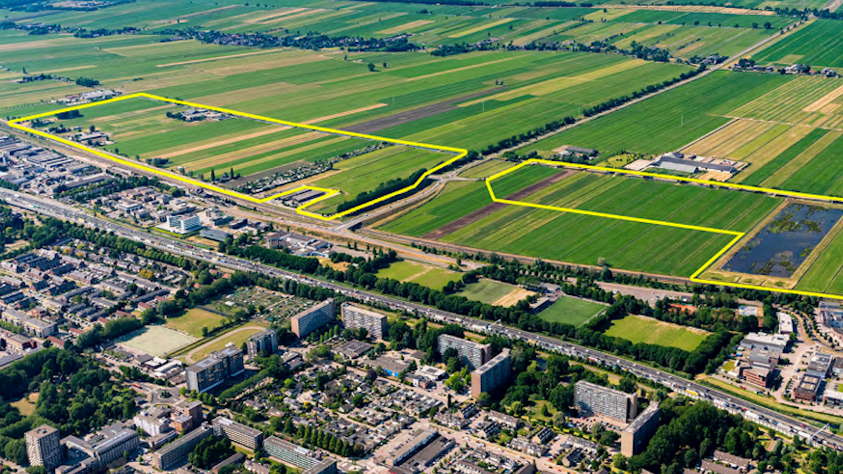 montage_RTV Dordrecht nieuws.00_00_25_32.Still003.png