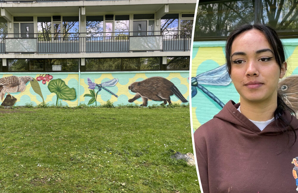 foto artikel muurschildering havikflat.jpg