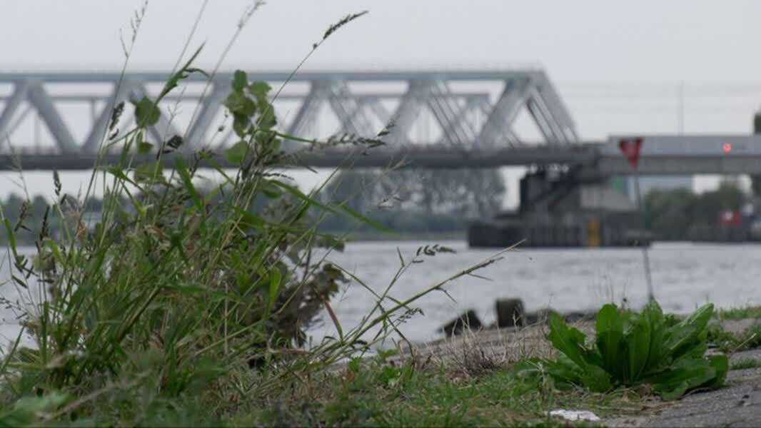 f19b38ce390bb68ab26b317dc366acfe.jpg