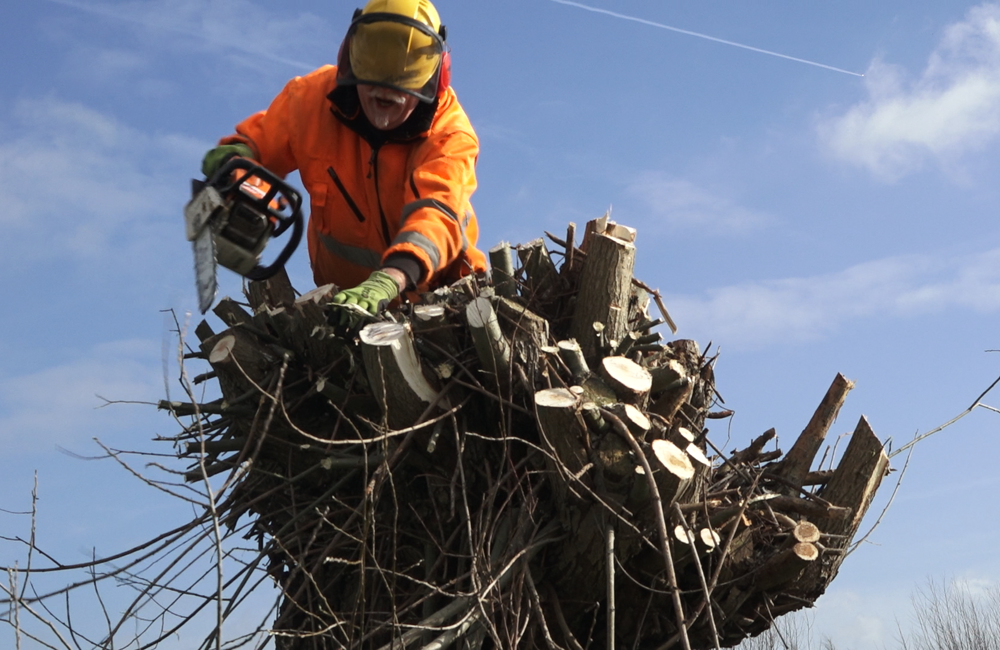 knotploeg foto 2.png