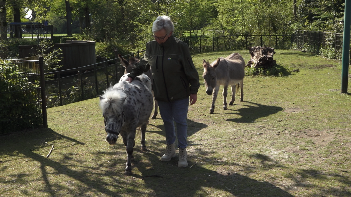 stadsboerderij weizigt.png