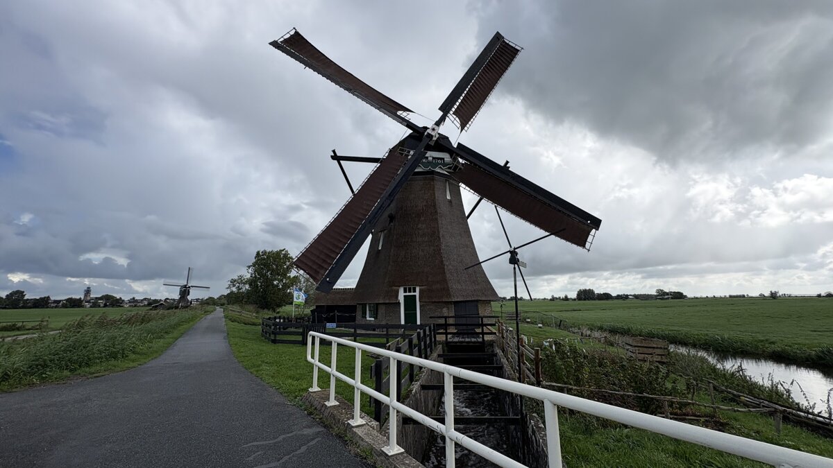 IMG_7827