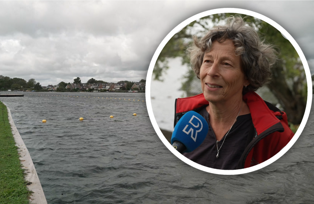 zwemmenwaal
