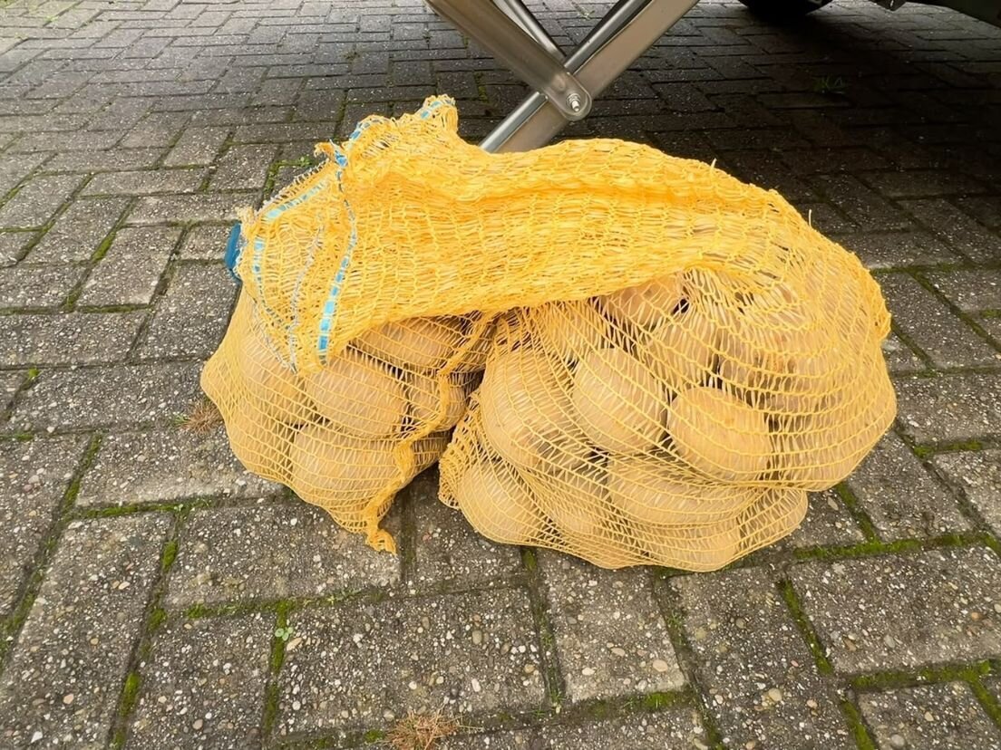 Aardappel