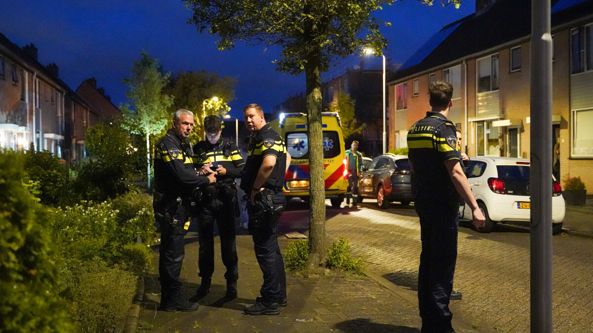 businkridderkerkpoltrokmolen.jpg