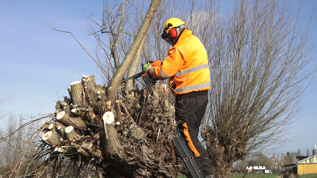 foto artikel knotploeg 1.png