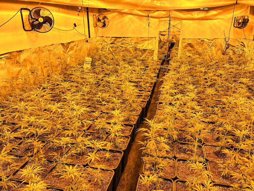 Hennepkwekerij en illegale slaapplekken ontdekt op bedrijventerrein