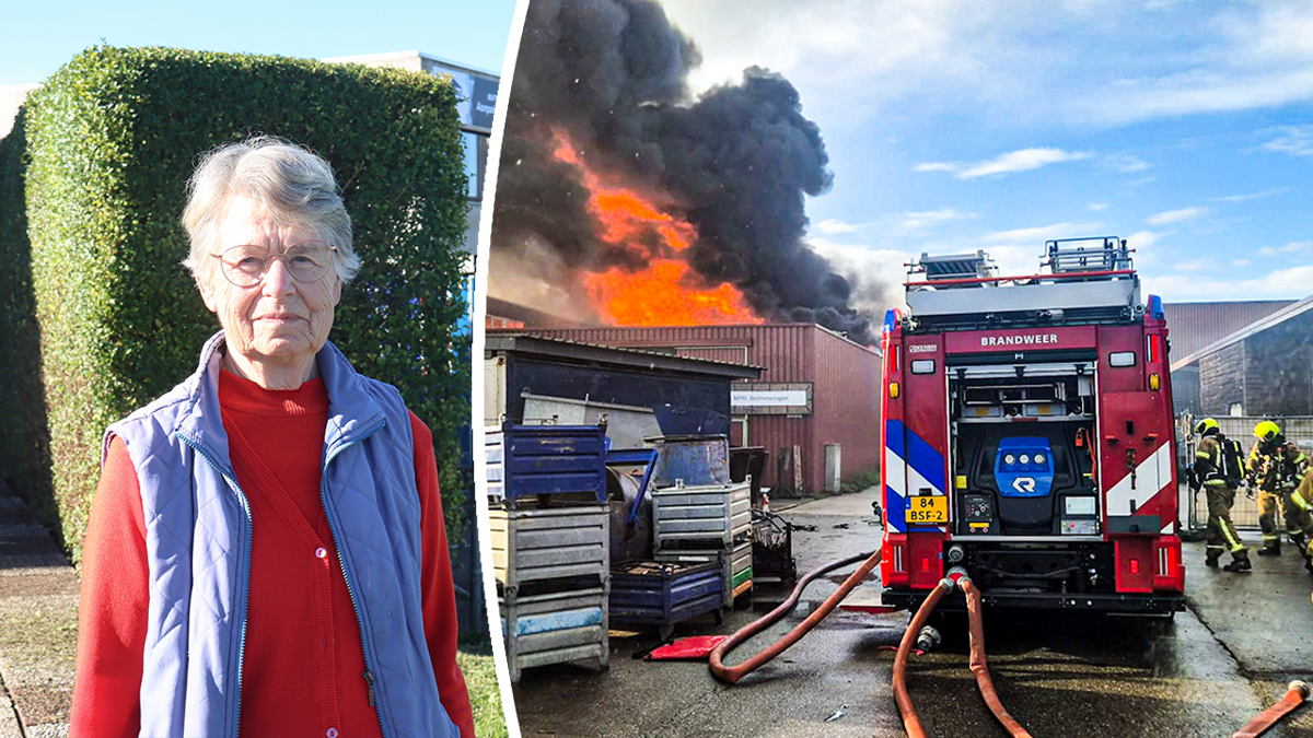 foto brand pap
