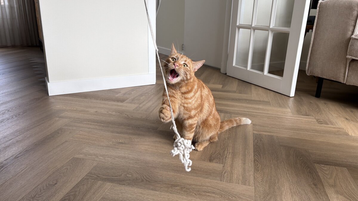 IMG_4011
