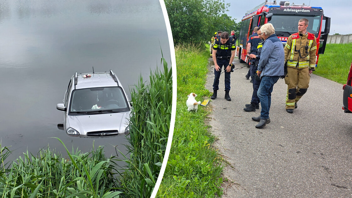 Duikers redden hondje uit te water geraakte auto