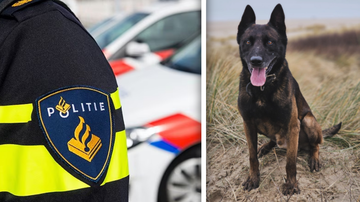 politiehond (1).png