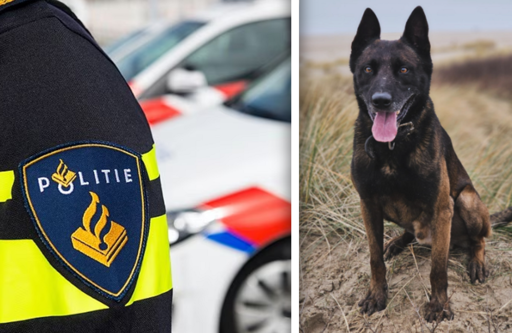 politiehond (1).png