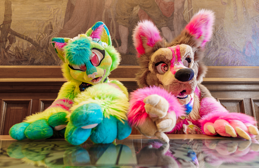 credit Renzi Wolf Dordrecht furries furry
