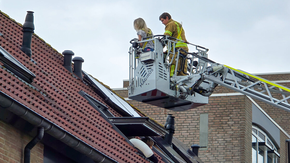 kat bevrijdt door brandweer