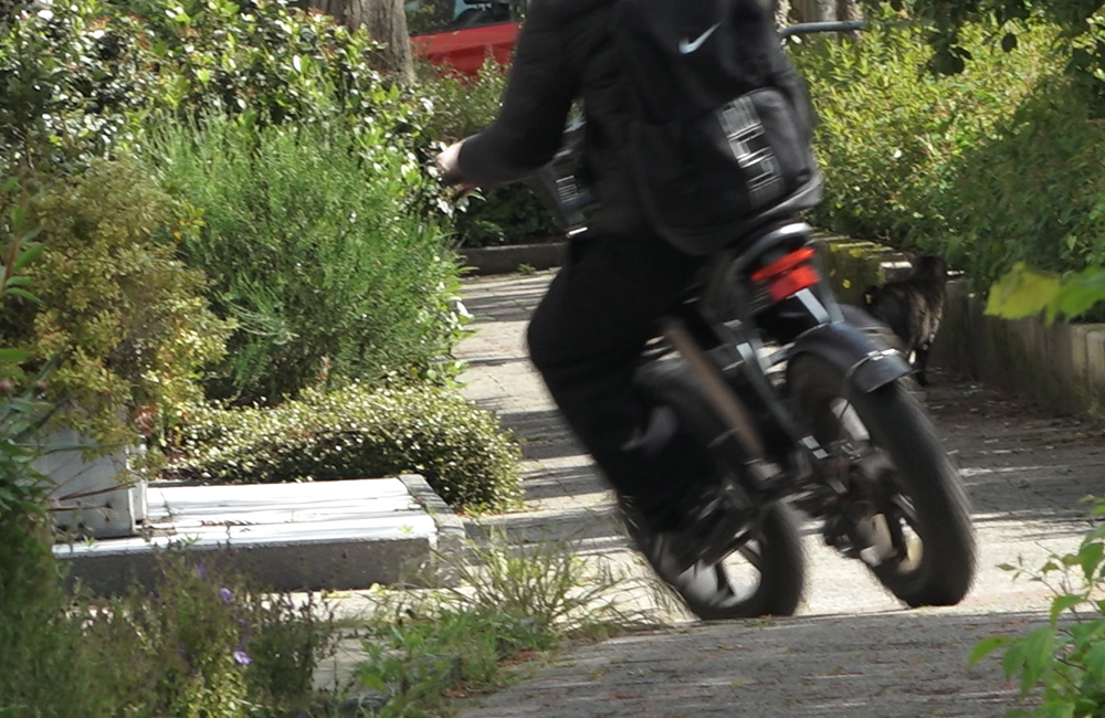 fatbike1.png