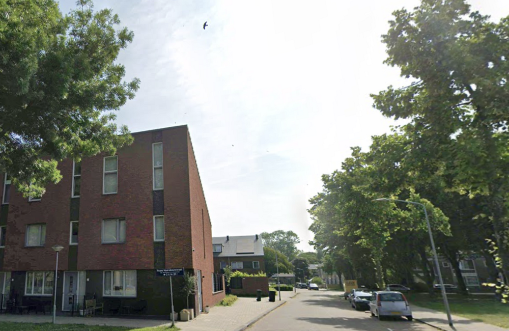 Bloys van Treslongstraat, google streetview