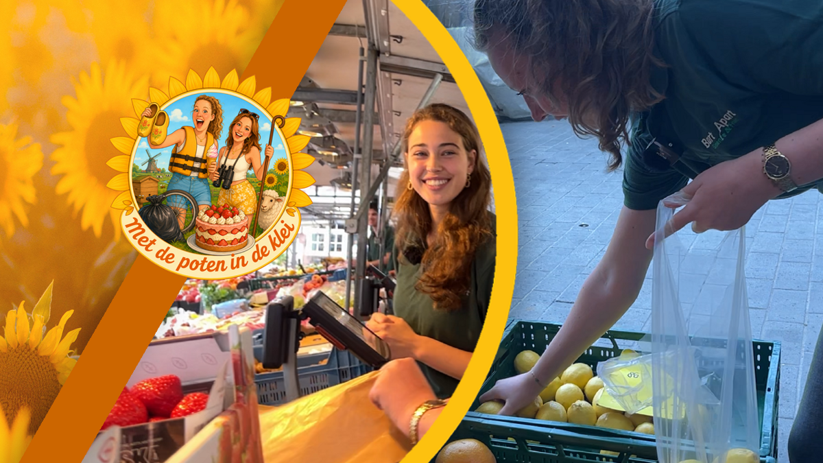 FOTO THUMB POTEN IN DE KLEI - MARKT