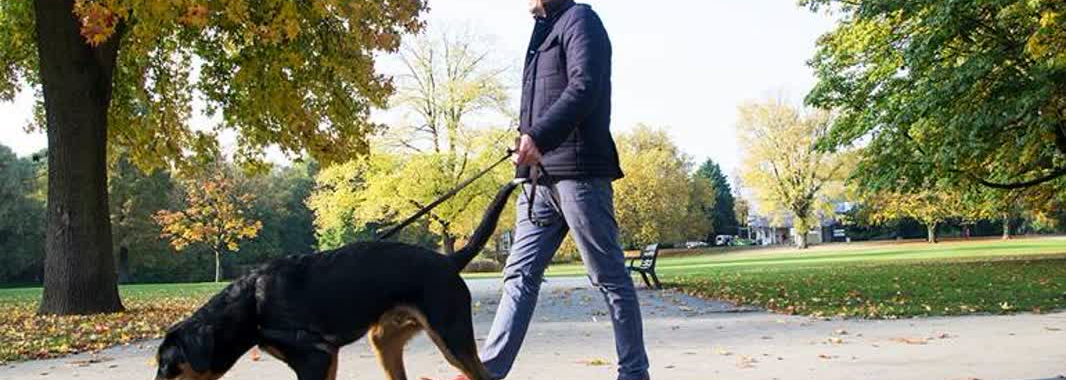 1bd96a94b843663cbaca5fee62a49e05