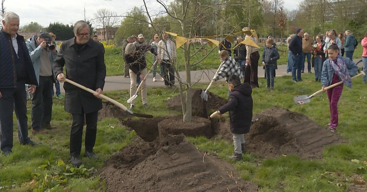 Op Pad Met Ad bezoekt vernieuwd Wielwijkpark: meer voorzieningen, maar minder bomen
