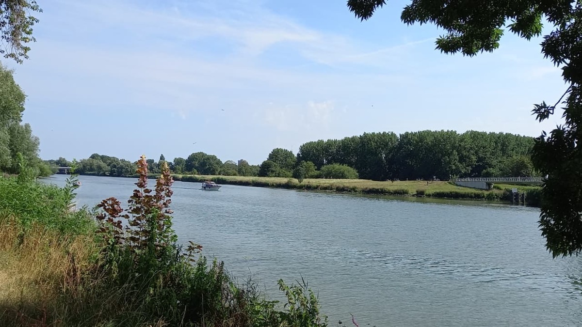 Wantij