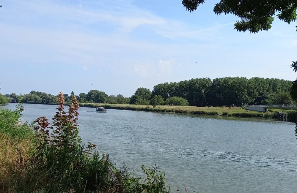Wantij