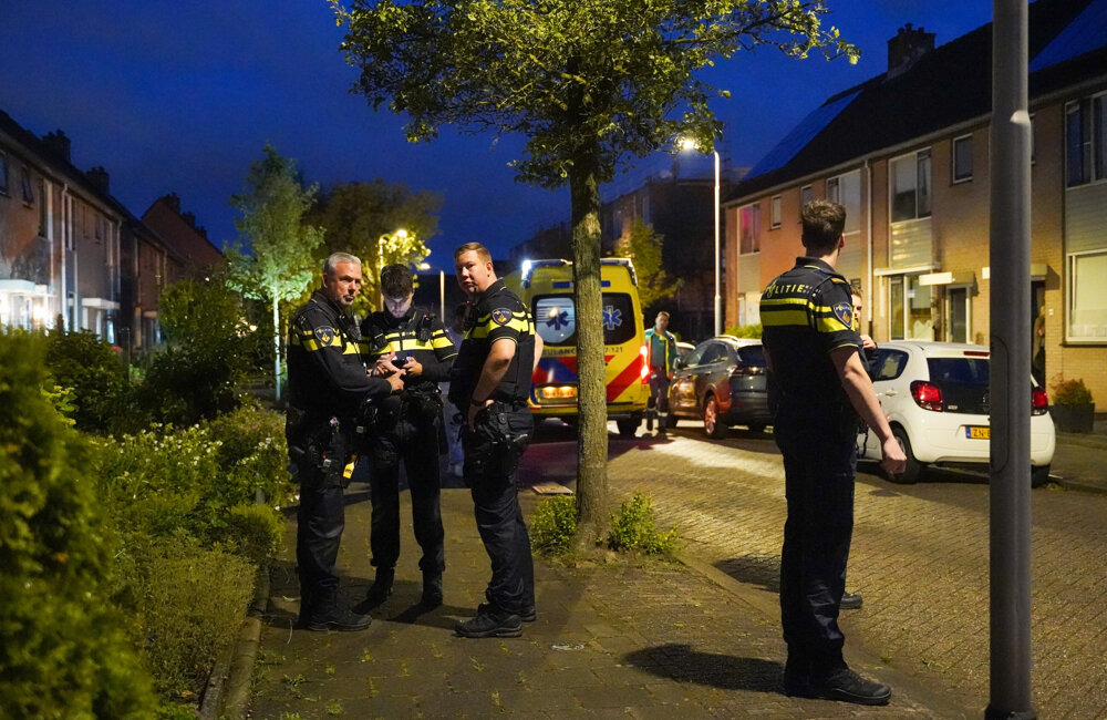 businkridderkerkpoltrokmolen.jpg
