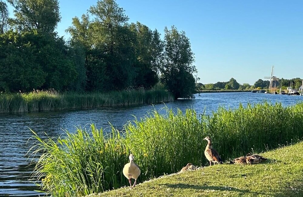 rijnmondzonnig.jpg