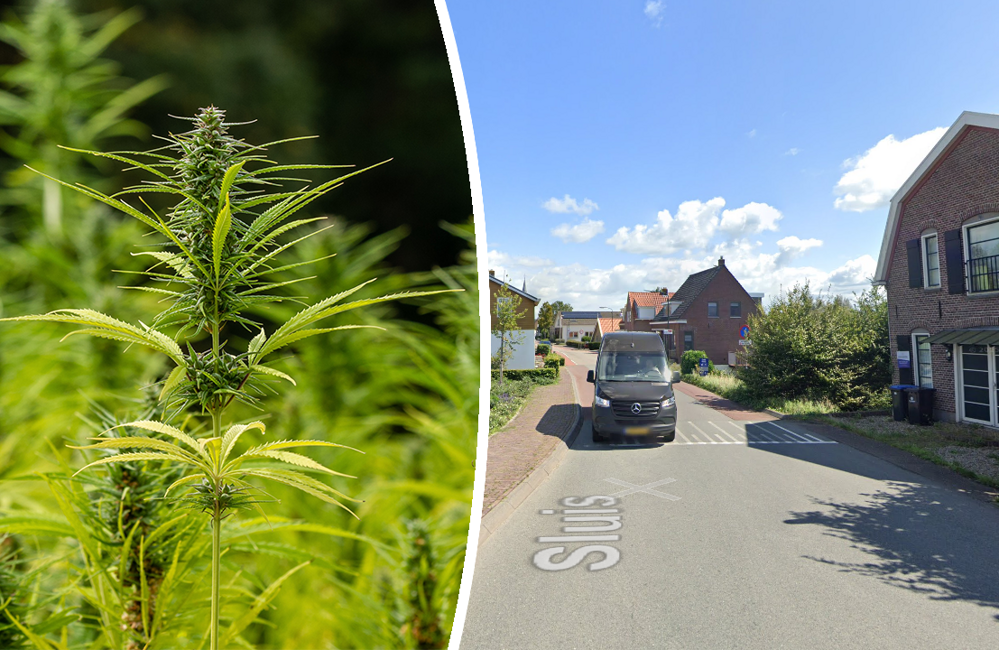 drugshuissluis