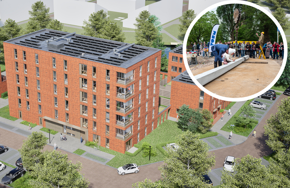 Foto artikel Zuidendijkse Tuin.png