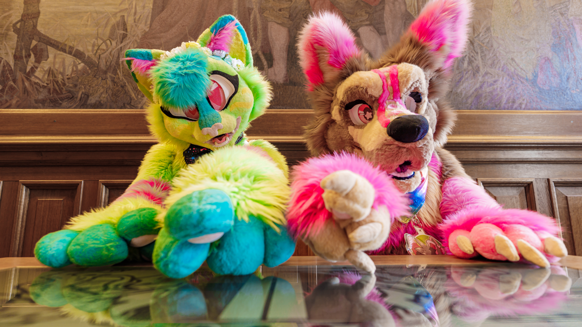 credit Renzi Wolf Dordrecht furries furry