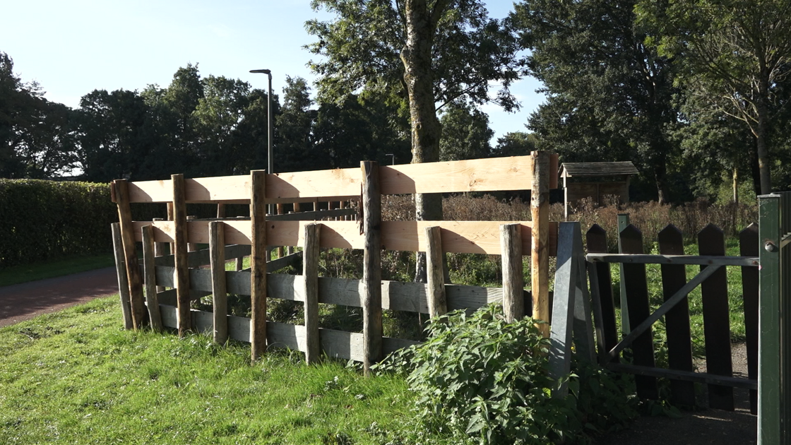 Nieuwe en verhoogde hekken: park met Schotse hooglanders volledig open