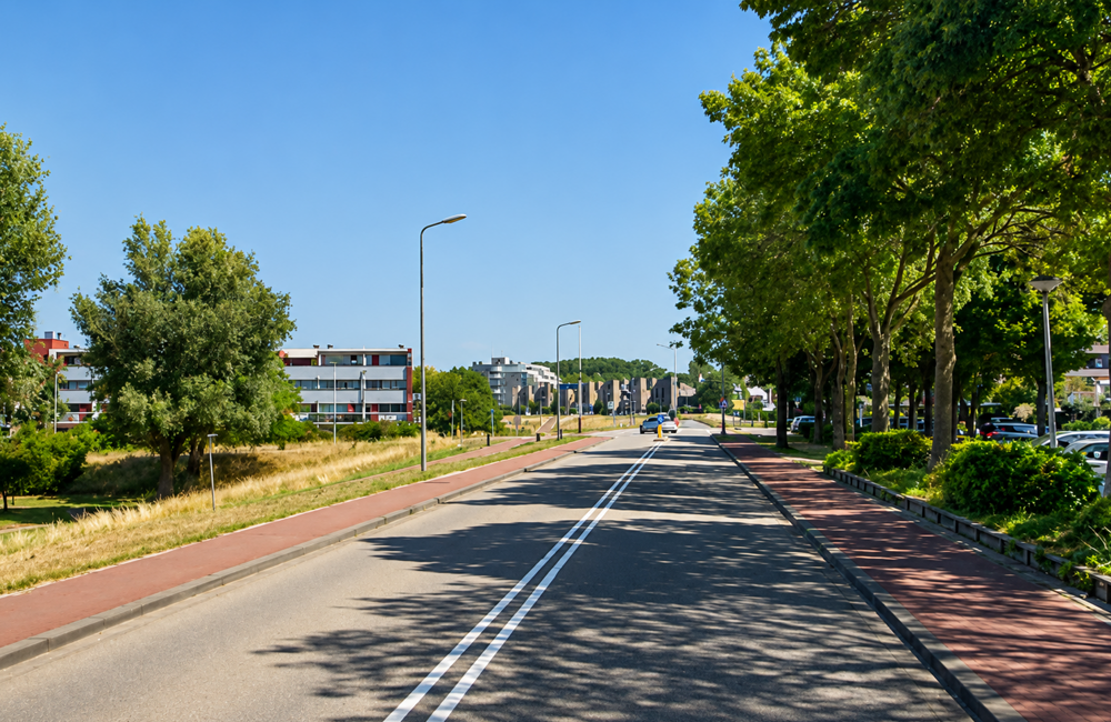 ringrijk Zwijndrecht Streekomroep