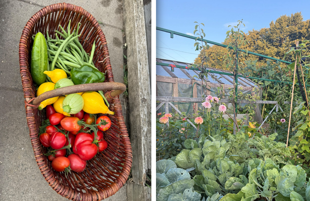 moestuin Door Eendracht Sterk Papendrecht
