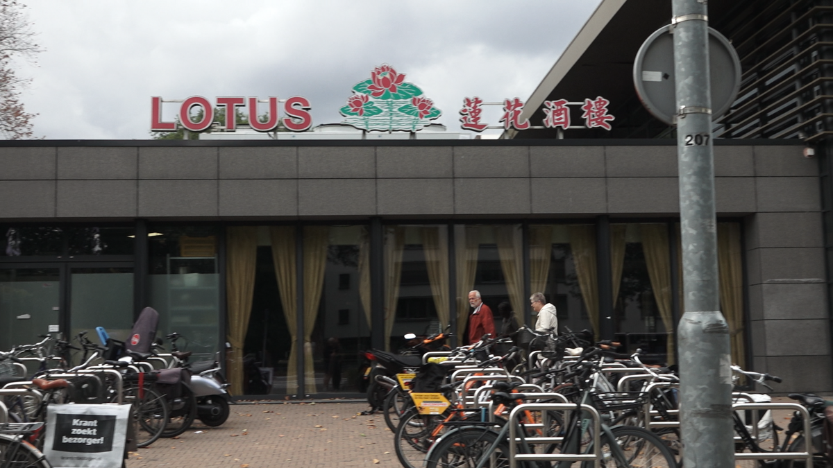 foto lotus