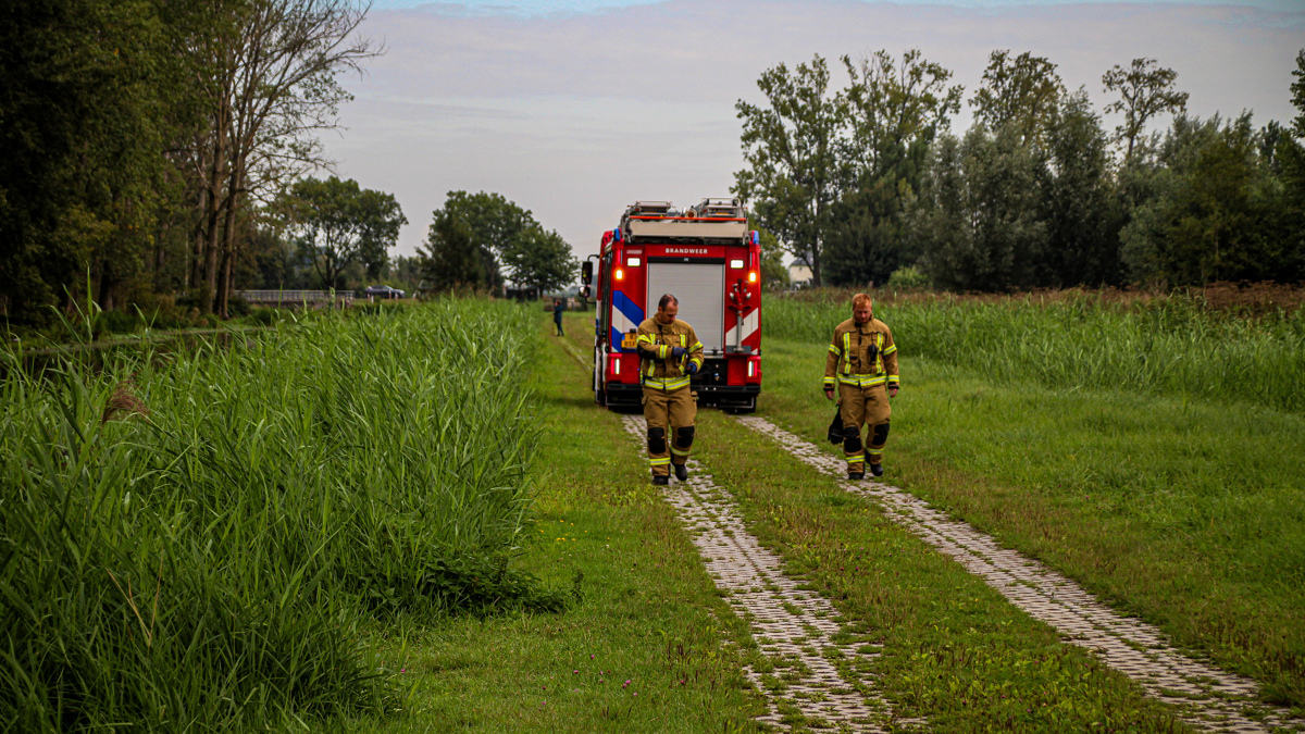 Stier in greppel_2