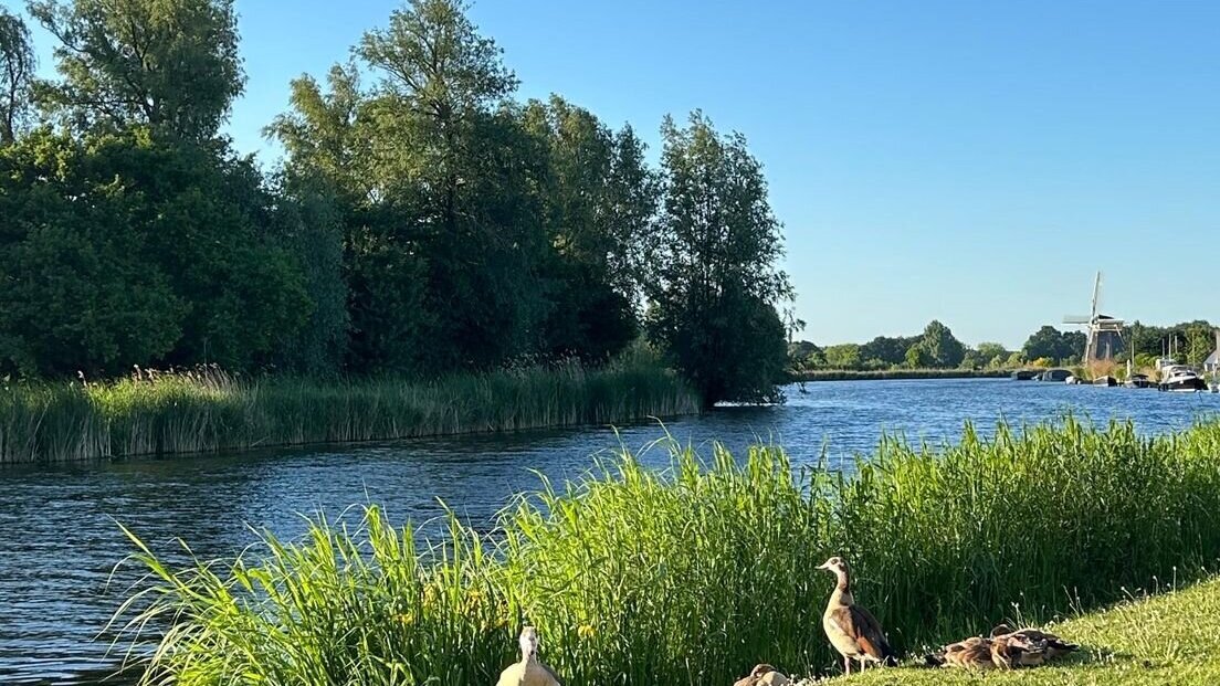 rijnmondzonnig.jpg