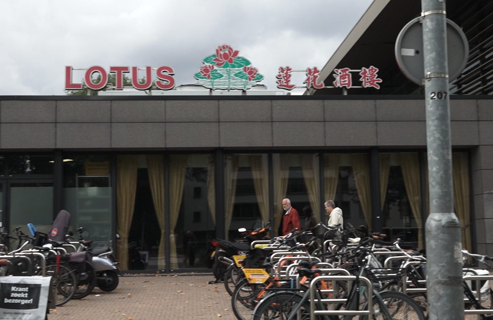 foto lotus