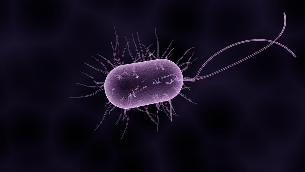 b71f0b4787619e868f42e566063ab14e.jpg