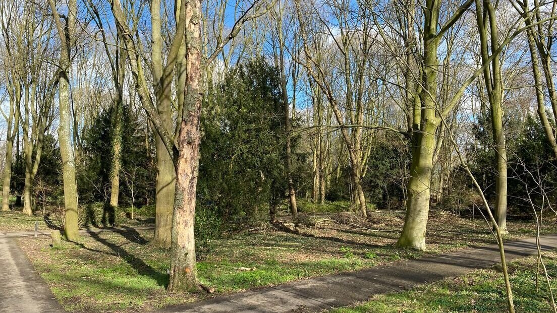 bomen